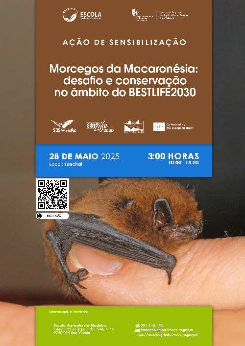 017_AS_Morcegos