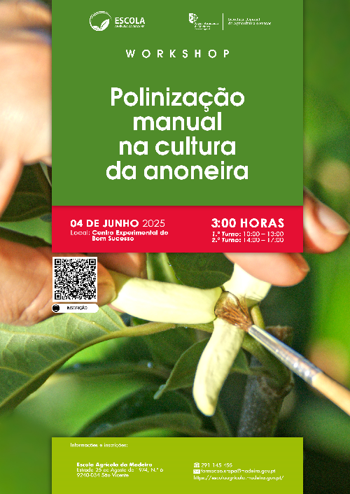 018_Polinizacao_manual_na_cultura_da_anoneira_04_de_junho