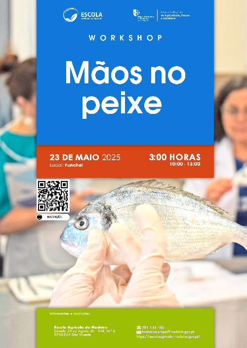 17_A_Maos_no_Peixe