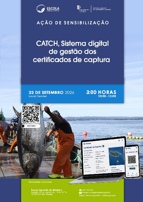 014 CATCH web