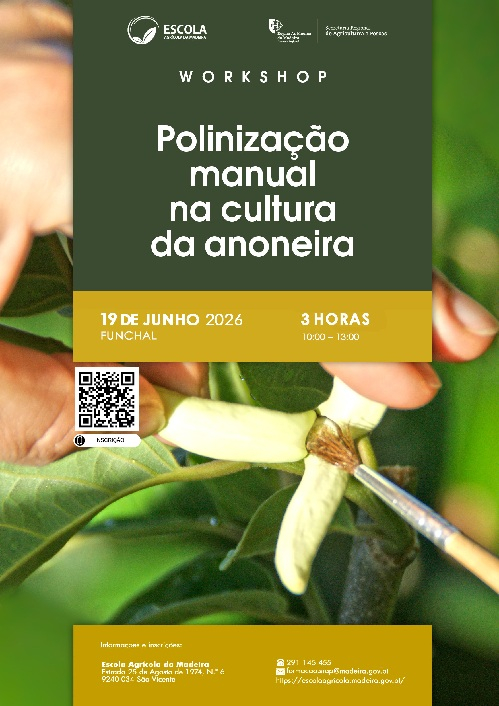 WS - Polinizacao manual na cultura da anoneira