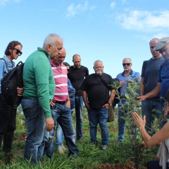 Podas e Enxertias em Macieiras e Pereiros para Sidra